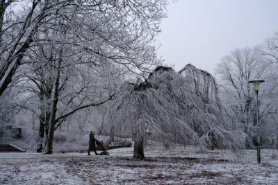 寒さの厳しい冬