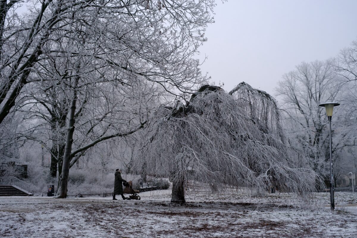 寒さの厳しい冬
